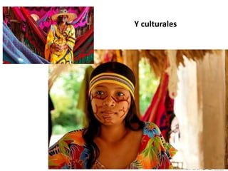 Y culturales
 