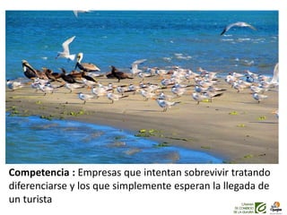 Competencia : Empresas que intentan sobrevivir tratando
diferenciarse y los que simplemente esperan la llegada de
un turista
 