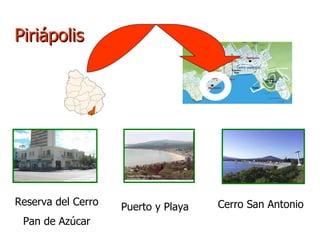 Piriápolis Reserva del Cerro Pan de Azúcar Puerto y Playa Cerro San Antonio 