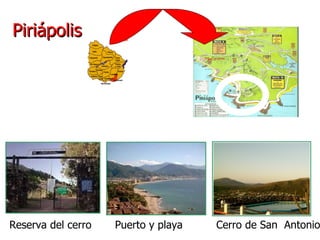 Piriápolis Reserva del cerro  Puerto y playa  Cerro de San  Antonio  Plan de azúcar 