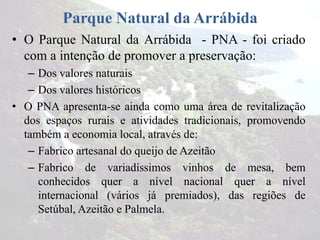 Parque Natural da Arrábida
• O Parque Natural da Arrábida - PNA - foi criado
com a intenção de promover a preservação:
– Dos valores naturais
– Dos valores históricos
• O PNA apresenta-se ainda como uma área de revitalização
dos espaços rurais e atividades tradicionais, promovendo
também a economia local, através de:
– Fabrico artesanal do queijo de Azeitão
– Fabrico de variadíssimos vinhos de mesa, bem
conhecidos quer a nível nacional quer a nível
internacional (vários já premiados), das regiões de
Setúbal, Azeitão e Palmela.
 
