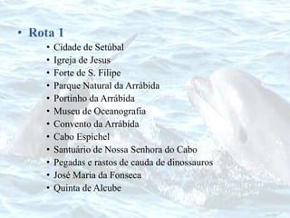 • Rota 1
• Cidade de Setúbal
• Igreja de Jesus
• Forte de S. Filipe
• Parque Natural da Arrábida
• Portinho da Arrábida
• Museu de Oceanografia
• Convento da Arrábida
• Cabo Espichel
• Santuário de Nossa Senhora do Cabo
• Pegadas e rastos de cauda de dinossauros
• José Maria da Fonseca
• Quinta de Alcube
 