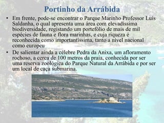 Portinho da Arrábida
• Em frente, pode-se encontrar o Parque Marinho Professor Luís
Saldanha, o qual apresenta uma área com elevadíssima
biodiversidade, registando um portefólio de mais de mil
espécies de fauna e flora marinhas, e cuja riqueza é
reconhecida como importantíssima, tanto a nível nacional
como europeu
• De salientar ainda a célebre Pedra da Anixa, um afloramento
rochoso, a cerca de 100 metros da praia, conhecida por ser
uma reserva zoológica do Parque Natural da Arrábida e por ser
um local de caça submarina.
 