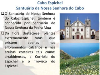 O Santuário de Nossa Senhora
do Cabo Espichel, também é
conhecido por Santuário de
Nossa Senhora da Pedra Mua
Da flora destaca-se, plantas
extremamente raras que
existem apenas nos
afloramentos calcários e nas
arribas costeiras tais como:
arrabidenses, a Corriola do
Espichel e o Trovisco do
Espichel.
Cabo Espichel
Santuário da Nossa Senhora do Cabo
 