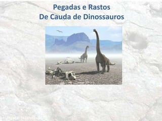 Pegadas e Rastos
De Cauda de Dinossauros
 