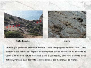 Em Portugal, podem-se encontrar diversas jazidas com pegadas de dinossauros. Como
exemplo disso temos, as pegadas de saurópodes que se encontram na Pedreira do
Galinha, no Parque Natural de Serras d’Aire e Candeeiros, com cerca de vinte pistas
distintas, inclusive duas das vinte são consideradas das mais longas do mundo.
Cabo Espichel Sintra
 