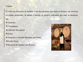 O vinho da Península de Setúbal é um dos produtos que mais se destaca, nas diversas
atividades praticadas, na quinta. Contudo, os géneros utilizados que mais se destacam
são:
 Castelão;
 Trincadeira;
Cabernet Sauvignon;
Syhra;
Aragonês e Alicante Bouchet, nas tintas;
Fernão Pires;
Moscatel de Setúbal, nas Brancas.
Vinhos:
 