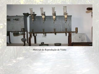 Material de Reprodução de Vinho
 