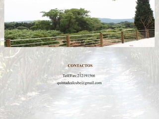 CONTACTOS
:
Telf/Fax:212191566
quintadealcube@gmail.com
 