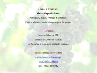 LOJA E VISITAS:
Visitas disponíveis em:
Português, Inglês, Francês e Espanhol.
Outros idiomas: traduzidos pelo guia do grupo.
Horários:
Entre as 10h e as 12h.
Entre as 14:30h e as 17:30h.
De Segunda a Domingo, incluído feriados.
Para Marcação de Visitas:
enoturismo@jmfonseca.pt
tel:+351212198940
fax:+351212198942
 