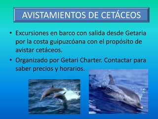 • Excursiones en barco con salida desde Getaria
por la costa guipuzcóana con el propósito de
avistar cetáceos.
• Organizado por Getari Charter. Contactar para
saber precios y horarios.
AVISTAMIENTOS DE CETÁCEOS
 