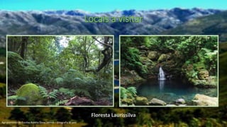 Locais a visitar
Floresta Laurissilva
Agrupamento de Escolas Rainha Dona Leonor – Geografia 9º ano
 