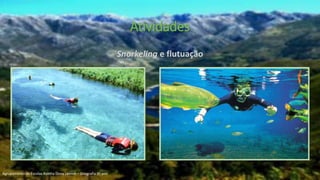 Atividades
Snorkeling e flutuação
Agrupamento de Escolas Rainha Dona Leonor – Geografia 9º ano
 