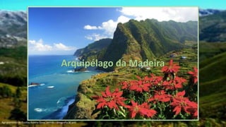 Arquipélago da Madeira
Agrupamento de Escolas Rainha Dona Leonor – Geografia 9º ano
 