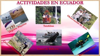 Tarabitas
Visitas de Ballenas
 