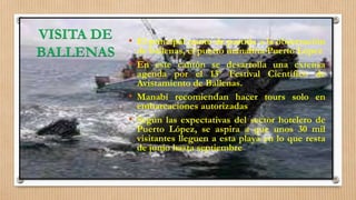 VISITA DE
BALLENAS
• El principal punto de partida a la observación
de ballenas, el puerto manabita Puerto López
• En este cantón se desarrolla una extensa
agenda por el 13º Festival Científico de
Avistamiento de Ballenas.
• Manabí recomiendan hacer tours solo en
embarcaciones autorizadas
• Según las expectativas del sector hotelero de
Puerto López, se aspira a que unos 30 mil
visitantes lleguen a esta playa en lo que resta
de junio hasta septiembre
 