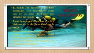 BUCEO
GALÁPAGOS
• El mundo sub acuático en las Islas
Galápagos esta considerado como
uno de los sitios de buceo mas
atractivo del mundo
• Puede bucear por la mañana y tarde y
disfrutar de la isla Santa Cruz por la
noche.
• bucear rodeado de tortugas marinas,
tiburones, mantas, iguanas, lobos
marinos, pingüinos, delfines y a veces
hasta con ballenas, le brindará una
experiencia inolvidable
 