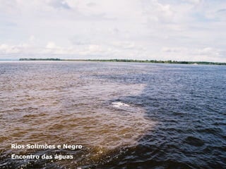 Rios Solimões e Negro Encontro das águas 