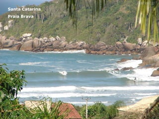 Santa Catarina Praia Brava 