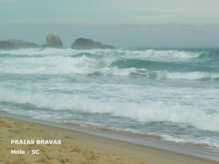PRAIAS BRAVAS Mole - SC 
