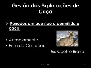 Gestão das Explorações de
           Caça

 Períodos em que não é permitida a
 caça:

• Acasalamento
• Fase da Gestação.
                               Ex: Coelho Bravo


                Turismo 2011                  11
 