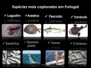 Espécies mais capturadas em Portugal




 Sardinha      Espada-             Goraz    Carapau
                 preto




                           Turismo 2011              31
 
