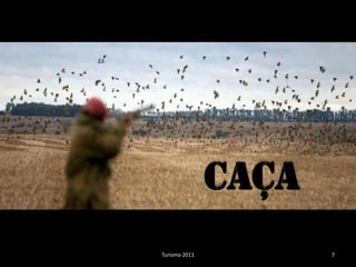 Caça
Turismo 2011          7
 