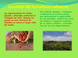 Encanto de la cultura cafeteraLos departamentos de Caldas, Quindío y Risaralda conforman el Triángulo del Café, llamado así porque en este territorio de Colombia se cultiva el mejor café del mundo. Del carácter modesto, trabajador e impetuoso de arrieros paisas, que aprovecharon la generosidad de sus montañas, resultó una casta de hombres y mujeres creadores de la cultura cafetera, extendida hoy por los tres departamentos.