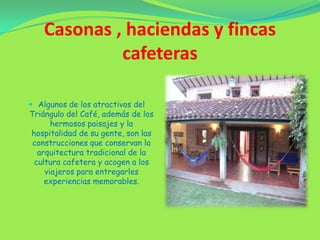 Casonas , haciendas y fincas cafeterasAlgunos de los atractivos del Triángulo del Café, además de los hermosos paisajes y la hospitalidad de su gente, son las construcciones que conservan la arquitectura tradicional de la cultura cafetera y acogen a los viajeros para entregarles experiencias memorables. 
