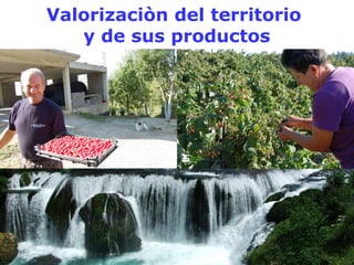 Valorizaciòn del territorio 
y de sus productos 
 