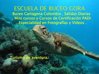    Buceo Cartagena Colombia , Salidas Diarias
        , Mini cursos y Cursos de Certificación PADI
           , Especialidad en Fotografías y Videos .




   Turismo de aventura.
 