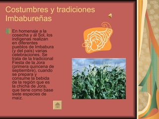 Costumbres y tradiciones Imbabureñas  En homenaje a la cosecha y al Sol, los indígenas realizan en diferentes pueblos de Imbabura (y del país) varias celebraciones. Se trata de la tradicional Fiesta de la Jora (primera quincena de septiembre), cuando se prepara y consume la bebida de la región que es la chicha de Jora, que tiene como base siete especies de maíz.  