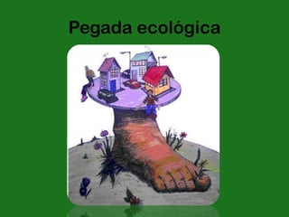 Pegada ecológica
 
