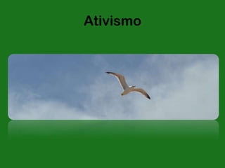 Ativismo
 
