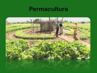 Permacultura
 