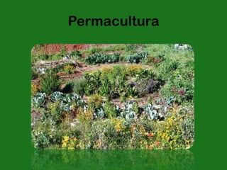 Permacultura
 