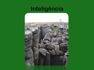 Inteligência
 
