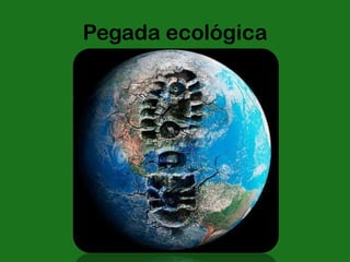 Pegada ecológica
 