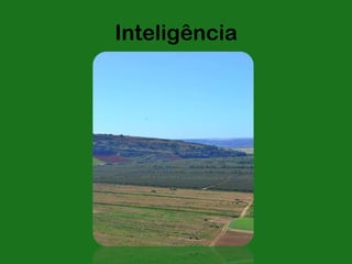 Inteligência
 
