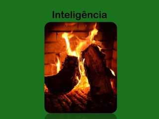 Inteligência
 