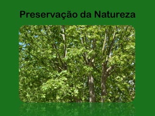 Preservação da Natureza
 