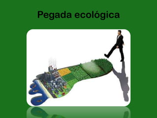 Pegada ecológica
 