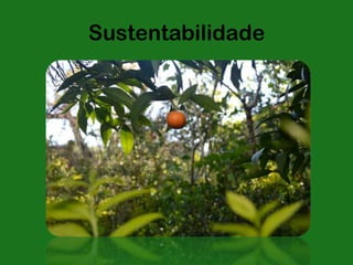 Sustentabilidade
 