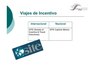 Viajes de Incentivo
SITE Capitulo MéxicoSITE (Society of
Incentive & Travel
Executives)
NacionalInternacional
 