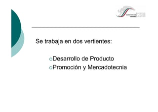 Se trabaja en dos vertientes:
Desarrollo de Producto
Promoción y Mercadotecnia
 