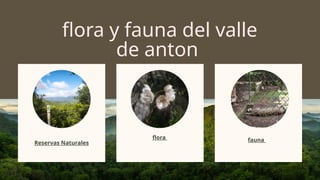 flora y fauna del valle
de anton
Reservas Naturales
flora fauna
 