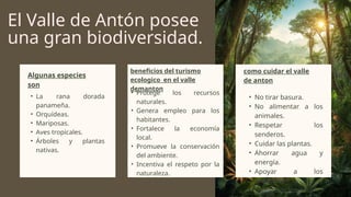 El Valle de Antón posee
una gran biodiversidad.
Algunas especies
son
• La rana dorada
panameña.
• Orquídeas.
• Mariposas.
• Aves tropicales.
• Árboles y plantas
nativas.
beneficios del turismo
ecologico en el valle
demanton
• Protege los recursos
naturales.
• Genera empleo para los
habitantes.
• Fortalece la economía
local.
• Promueve la conservación
del ambiente.
• Incentiva el respeto por la
naturaleza.
como cuidar el valle
de anton
• No tirar basura.
• No alimentar a los
animales.
• Respetar los
senderos.
• Cuidar las plantas.
• Ahorrar agua y
energía.
• Apoyar a los
artesanos y
comercios locales.
 