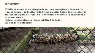 CONCLUSIÓN
El Valle de Antón es un ejemplo de turismo ecológico en Panamá. Su
riqueza natural, su biodiversidad y sus paisajes hacen de este lugar un
destino ideal para disfrutar de la naturaleza mientras se contribuye a
su conservación.
¡Cuidar la naturaleza es responsabilidad de todos!
Gracias por su atención.
 