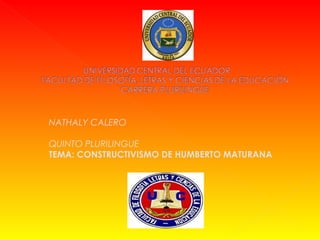 NATHALY CALERO
QUINTO PLURILINGUE
TEMA: CONSTRUCTIVISMO DE HUMBERTO MATURANA
 