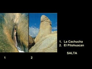 1. La Cachucha
2. El Pitohuacan
SALTA
1 2
 
